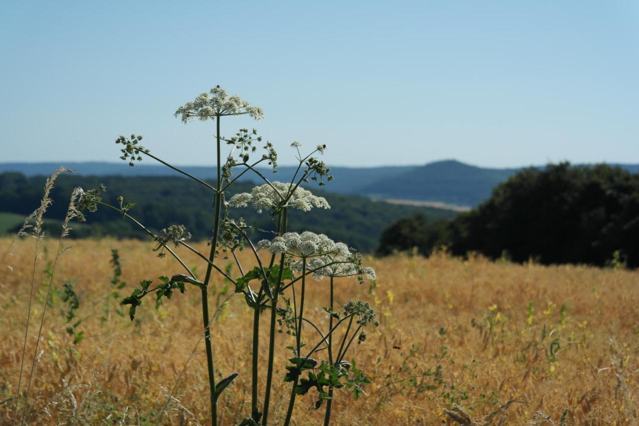 Landhotel Windlicht Krombach  Εξωτερικό φωτογραφία